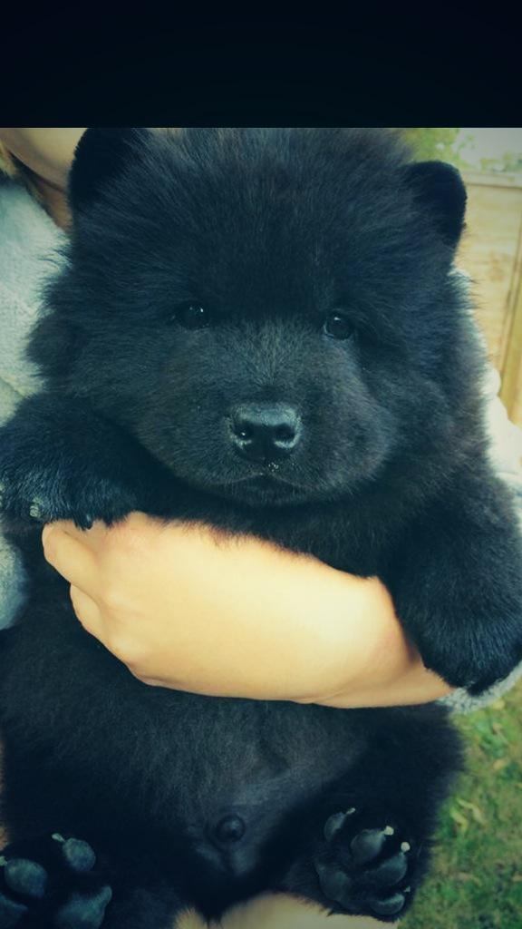 rickygervais's tweet photo. Whatever this is I want one. http://t.co/zlVPR4Ka1G