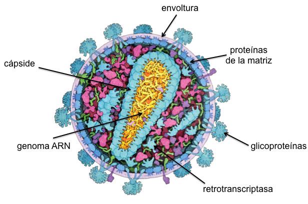Enlace permanente de imagen incrustada