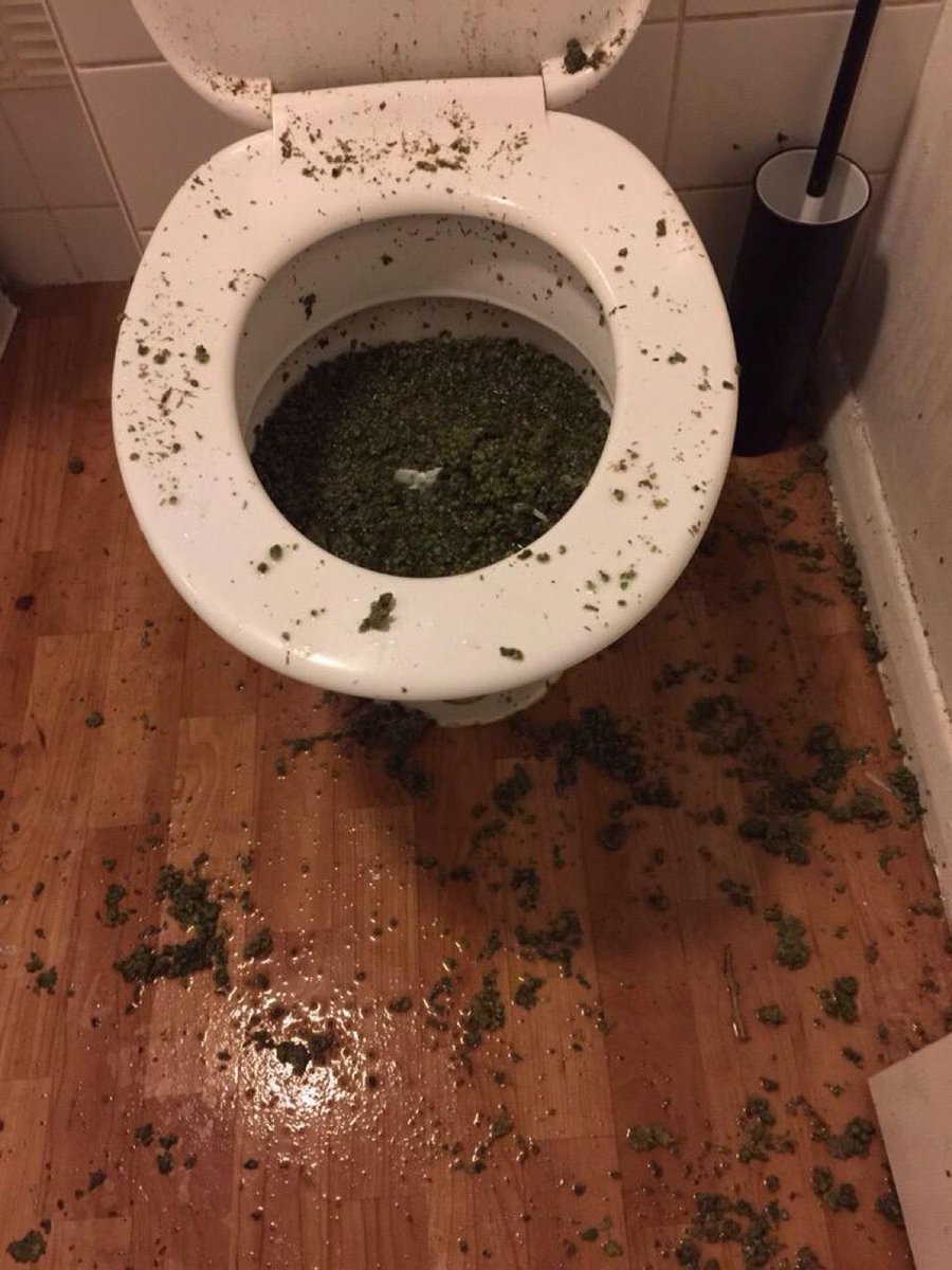 metpoliceuk's tweet photo. Officers in #Newham have seized what is believed to be cannabis after suspects tried to flush it down the toilet http://t.co/VC8NWDJrSt