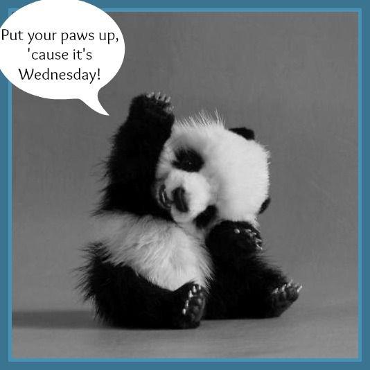Edmarkauto's tweet photo. WEDNESDAY is finally here! #EdmarkKia http://t.co/pLBMWhbISM http://t.co/bkopX5u9Tu