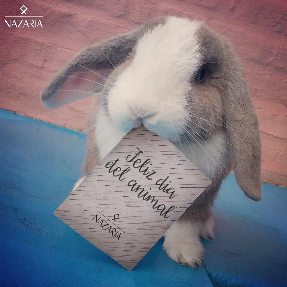 NazariaOficial's tweet photo. #FelizDiaDelAnimal Les deseamos un día lleno de amor junto a sus mascotas. http://t.co/utvDE6zwu7