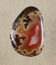 Sellergroupnet's tweet image. Gems Lapidary - Pandawear PandawearSupplies
sgforums.forumchitchat.com/post/gems-lapi…
#sellergroup sellergroup.com