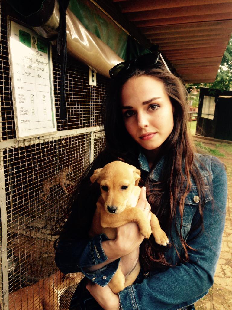 Michela_Val's tweet photo. Help @WetNoseARC + donate for more kennels to be built! @ELLEmagazineSA @AngelaCValente @PennyLebyane @BombayBabeTv http://t.co/P4ccCQRd9L
