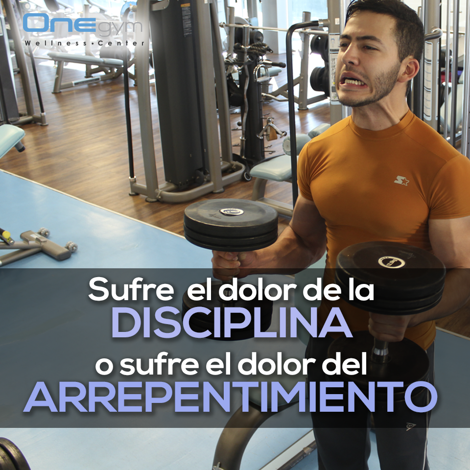 OneGymty's tweet photo. Y tú qué prefieres, ¿DISCIPLINA o ARREPENTIMIENTO? #gym http://t.co/d42mVSHlRr