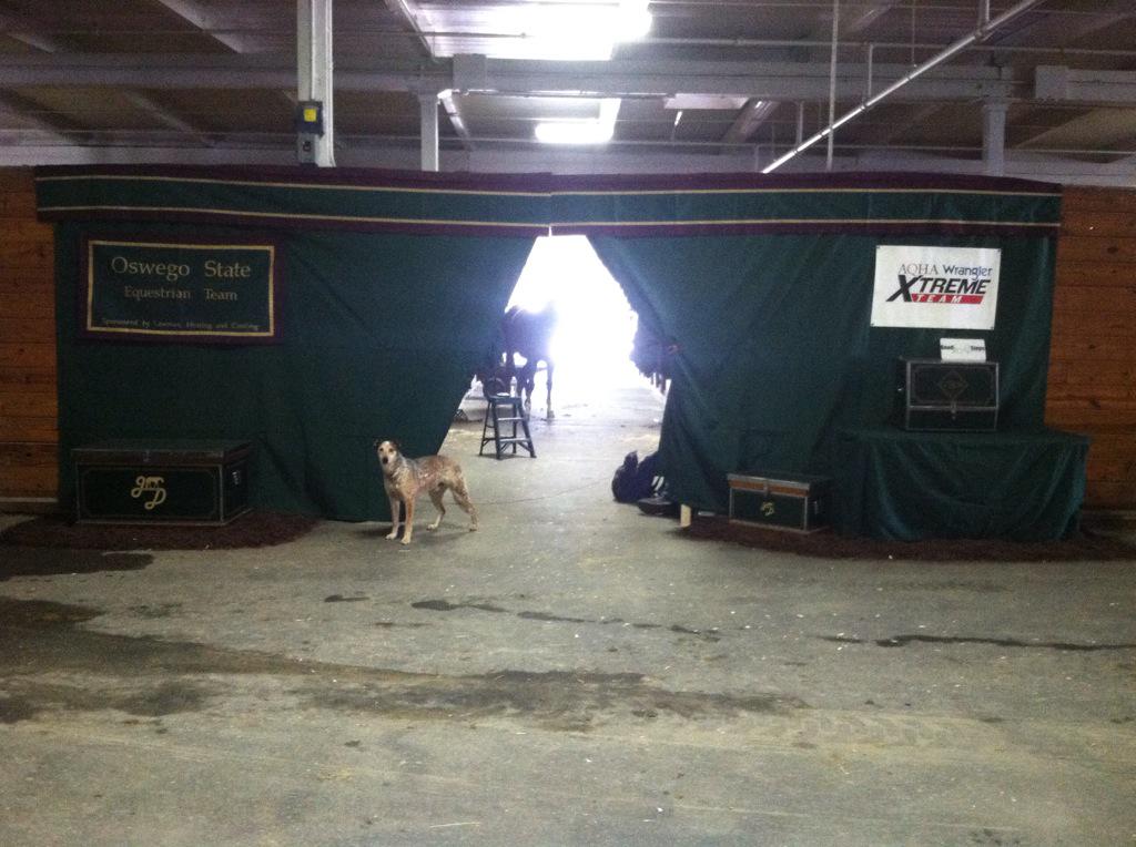 Our stalls are set and we are ready for nationals!