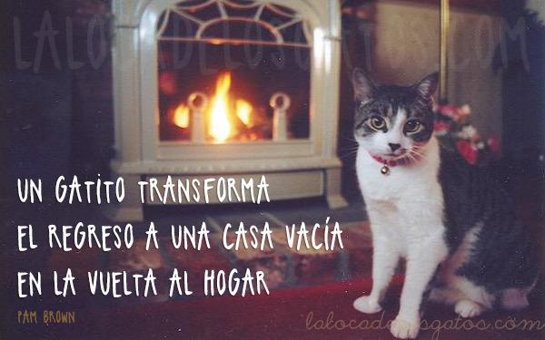 DaniaAcv2's tweet photo. #MasQueCasaUnHogar http://t.co/HVCbVRLmhJ