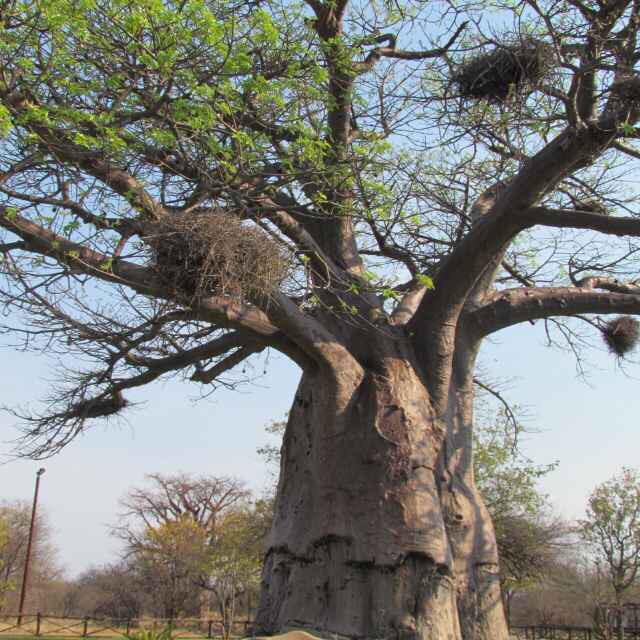 _onlikes's tweet photo. Africaaa http://t.co/zoVGhujT6j