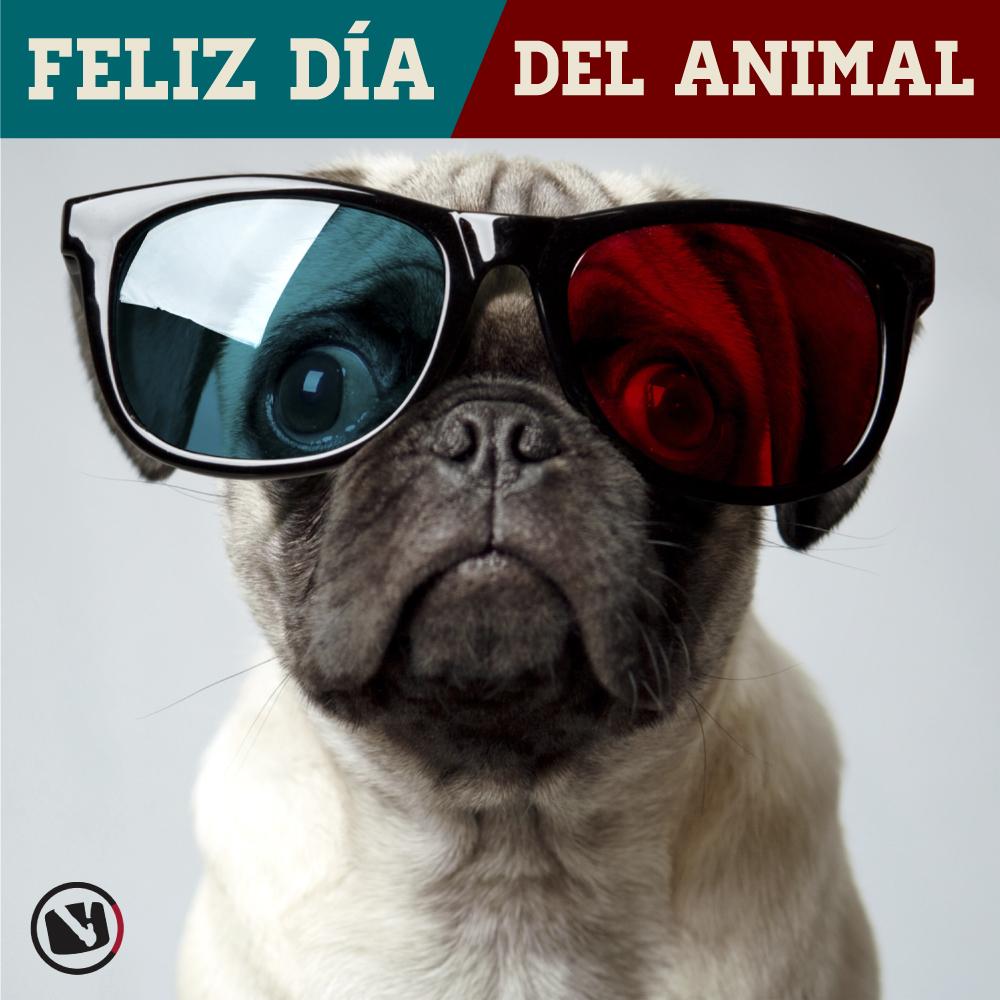 rrabadan's tweet photo. #FelizDiaDelAnimal, que sé que sois muchos aquí en #twitter ;)
(incluido un servidor) http://t.co/xPvDkP1ZLI