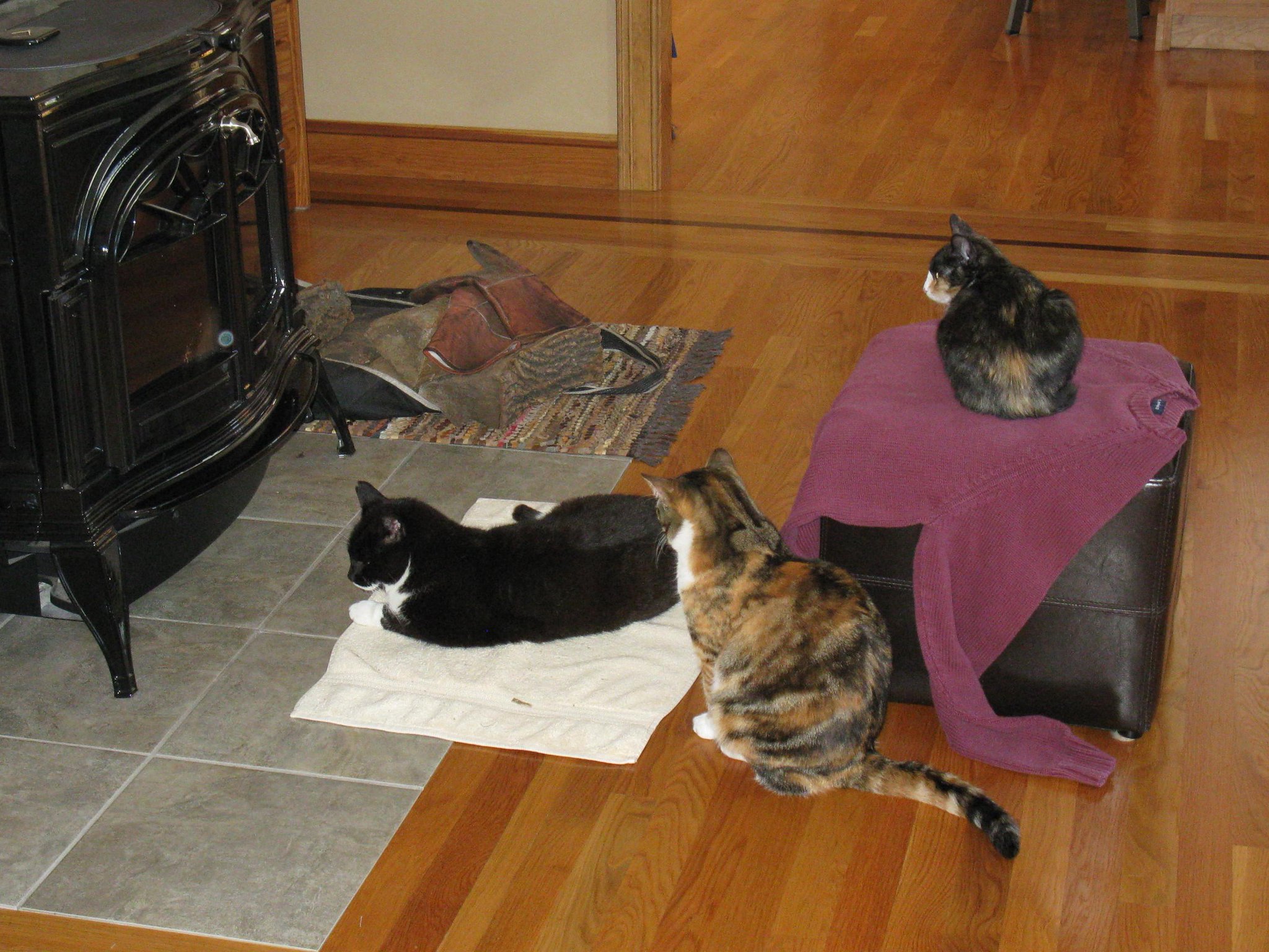 Embedded image permalink