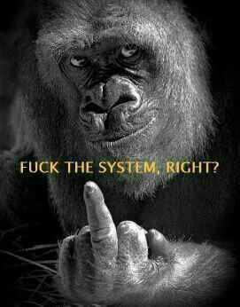 Devious_INFEC7's tweet image. #FuckThaSystem #FreddieGray #AnonFamily #Anarchy @TanyaInAlameda @OmarKhattab9541 @M0rt1sAng3lus @KaosProfessions