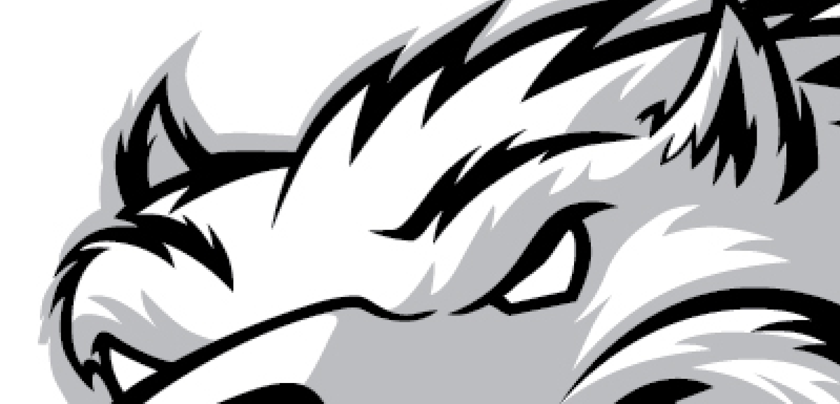 BeaverBuzzNRG's tweet photo. You spoke and we listened…it's coming. #teaser #getready #newflav #damgood #energy #canadasenergydrink #beaverbuzz http://t.co/L9x1ZwHuAp