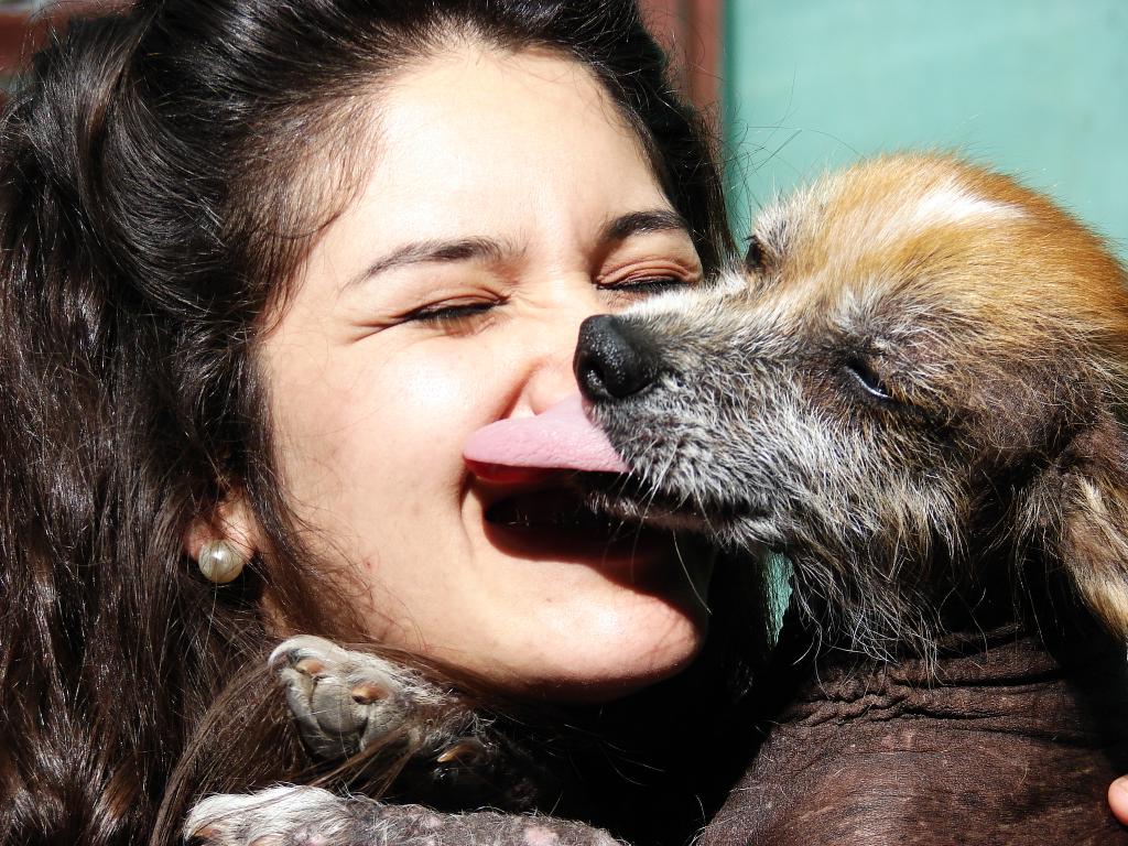 KichyMora's tweet image. Feliz dia a mi mejor y fiel amigo ♡ 
#Kemelo