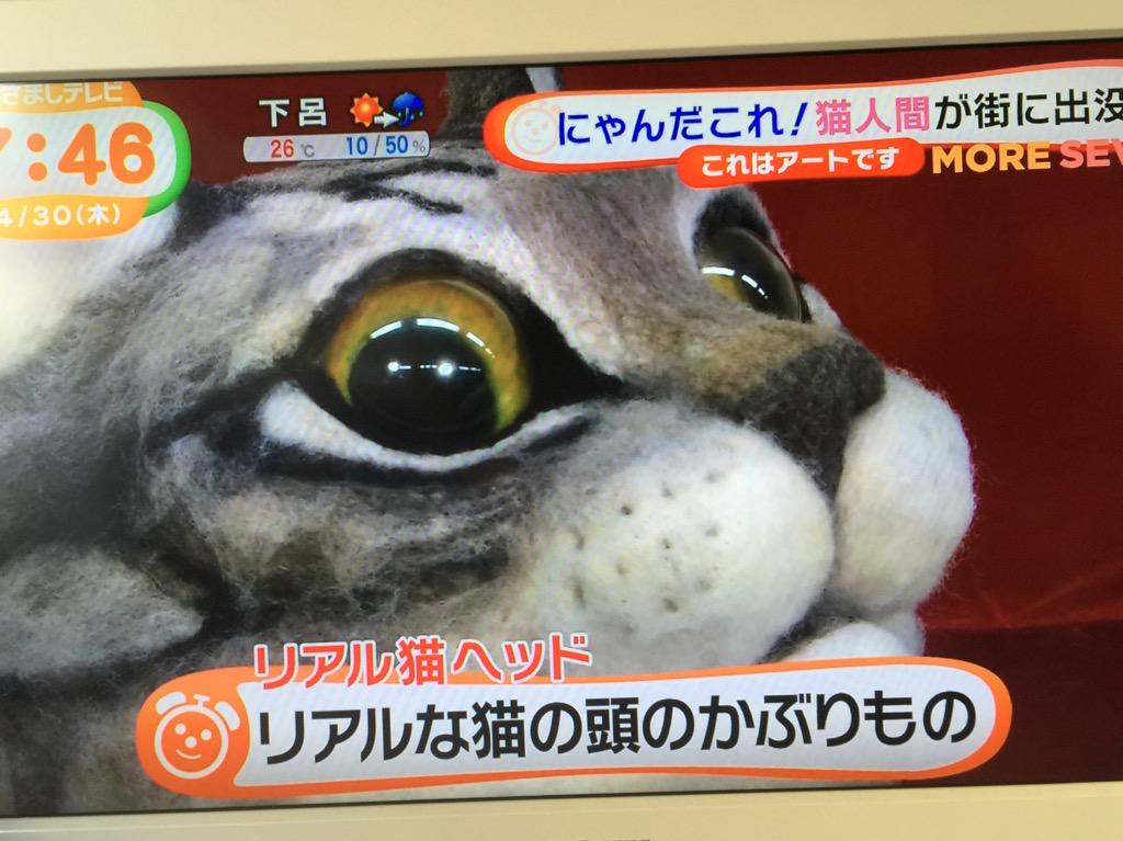 伊藤霊一 Ryou Twitterren Twitterで話題だったリアル猫ヘッドw 羊毛フェルト製なんだね ェ めざましテレビ Http T Co D0ygojv0e5
