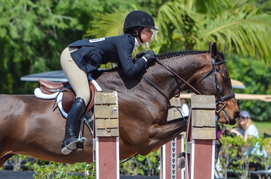 A_Gilbz's tweet photo. Throwback to Wef😍 
#passioneq #parlantipassion #brandambassador #ariel❤️ #wef2015 #juniorhunters http://t.co/QYCpO8usfv