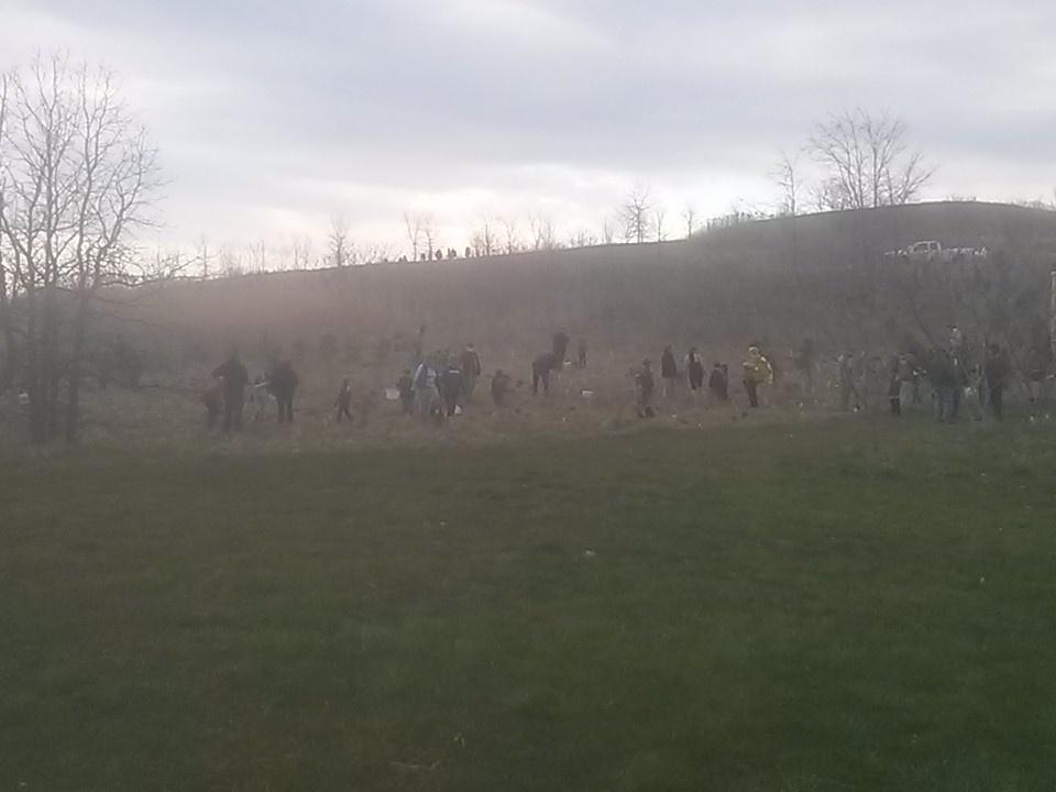 Windsor Scouts helping the environment by planting trees all week! #windsorscoutsdostuff #goodturnweek