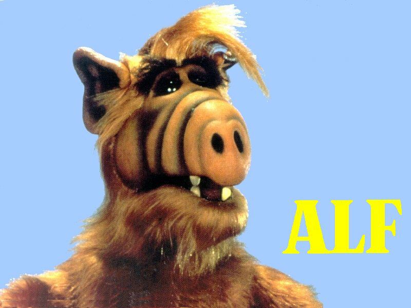 5. Alf. 