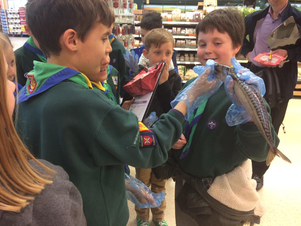 kelzjames's tweet image. Jupiter Cubs Farm to Fork Trail this evening @Sandy6796 @Daveharwood1982 @EatHappyProject  #FarmtoFork