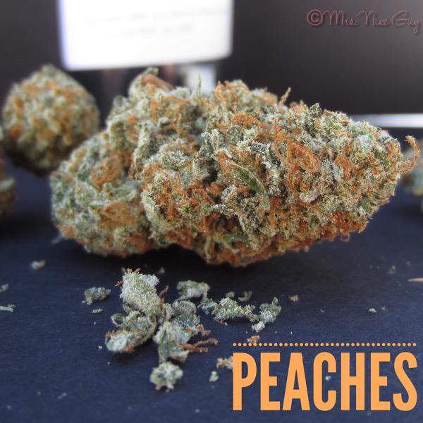 bumblebeenie's tweet image. Strain Review: Peaches by Burning Tree mrsniceguy.com/strain-review-… #ommp #burningtree