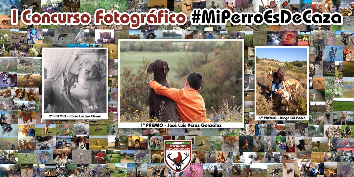 RT <a href="/andaluciacaza/">Federación Andaluza de Caza</a>: RT! Collage con todas las fotos recibidas a #MiPerroEsDeCaza  ¡Te esperamos en la <a href="/FeriadelPerro/">XXX Feria del Perro</a>!