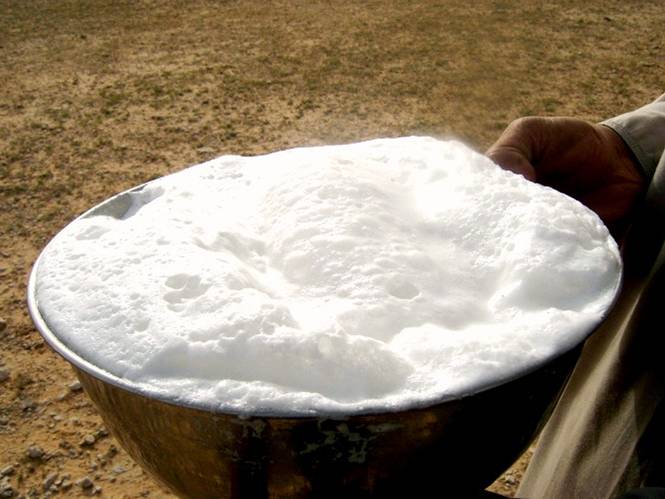 R_BNews's tweet photo. Benefits of Camel’s Milk http://t.co/H7weJOlo6k

#camelmilk #healthtips #healthnews http://t.co/RUEBFxanFn