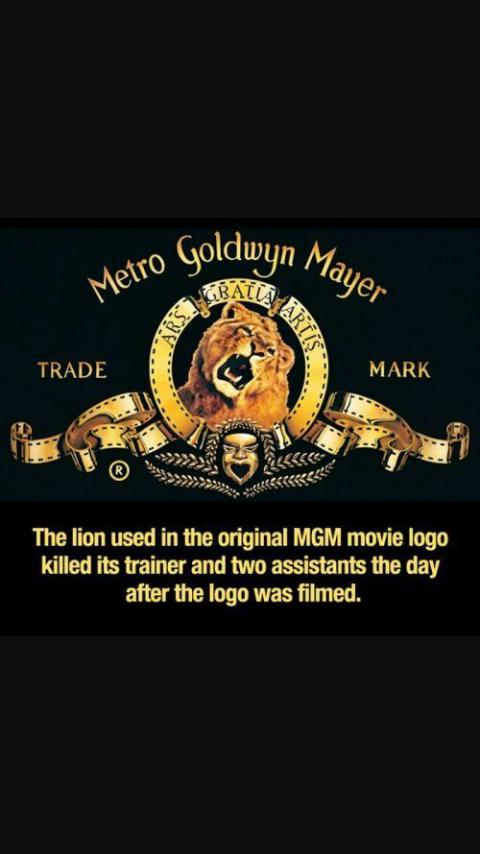 stephanramesar's tweet image. 