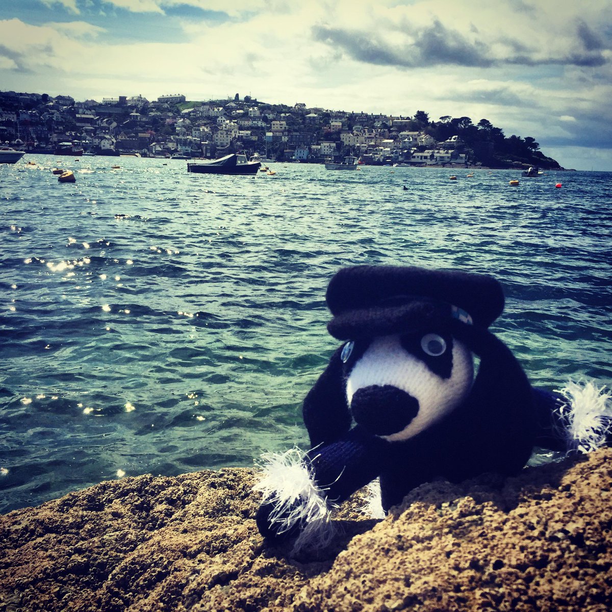 MalvernCops's tweet photo. Meet #Knitted Peeler, handmade in Cornwall by one of our top followers!
#CopCrafts
#handmadehour #police http://t.co/O8TvONsXaz