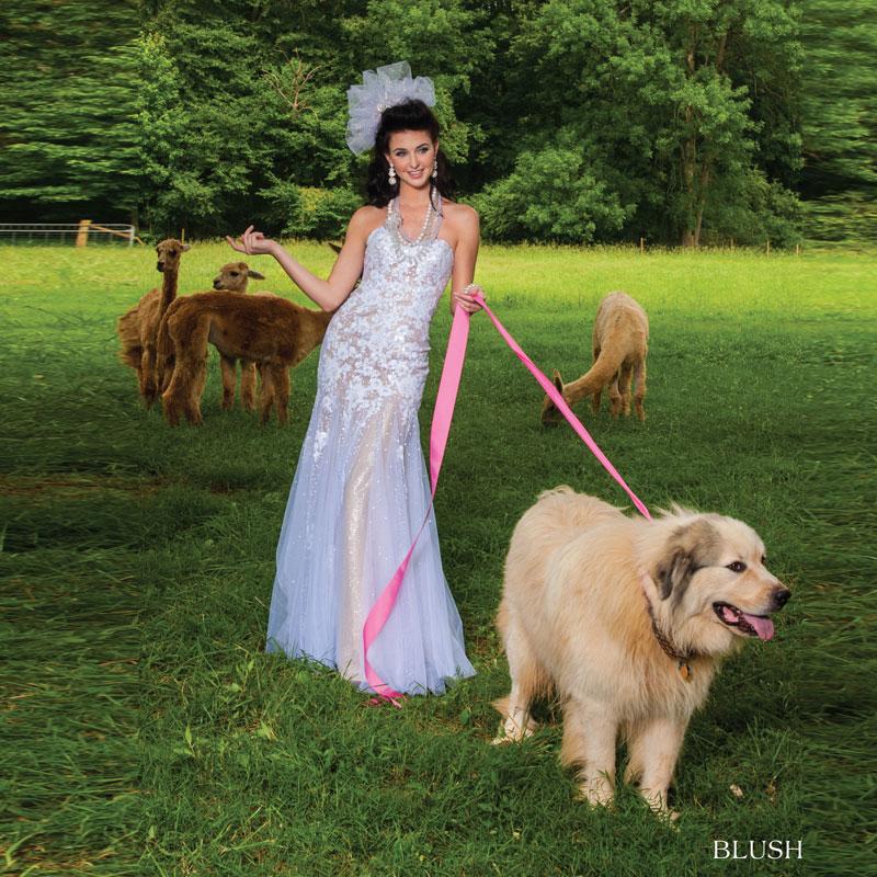 HotShotsProm's tweet photo. @BlushPromDress is a master at #Breezy #Beautiful &amp; #Romantic prom dresses! #Prom2015 http://t.co/HeKERsj01w