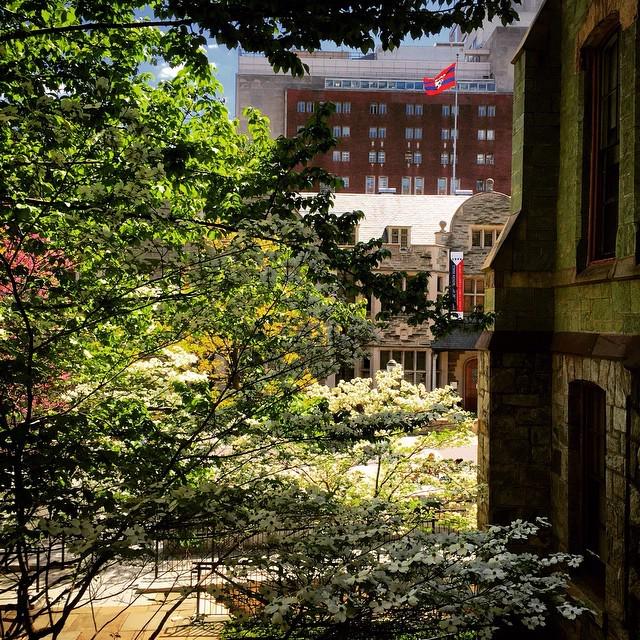 PreviewingPenn's tweet image. #springtime #lastdayofclasses #penn