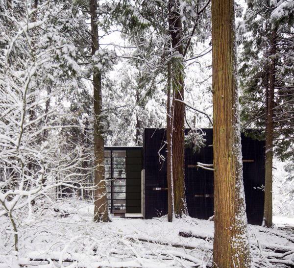 taraceagroup's tweet photo. #WeLoveWood- The Lightbox House #Washington #forest. Via @TheCoolist​
http://t.co/t7onx7vRfk http://t.co/5DUdBbu7LF