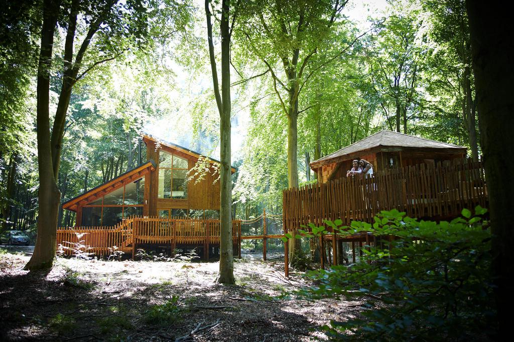 forestholidays's tweet image. Fancy staying in one of our Treehouses that sleep up to 10 people? Availability on 4 night midweek breaks in May!