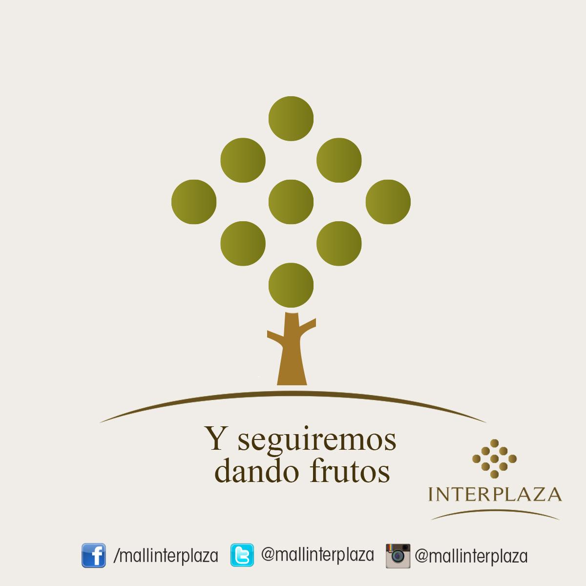 mallinterplaza's tweet photo. En el #DíadelÁrbol, te aconsejamos: No desperdicies energía, usa bicicleta, y cuando puedas planta un árbol. http://t.co/Xhejm6gQYB