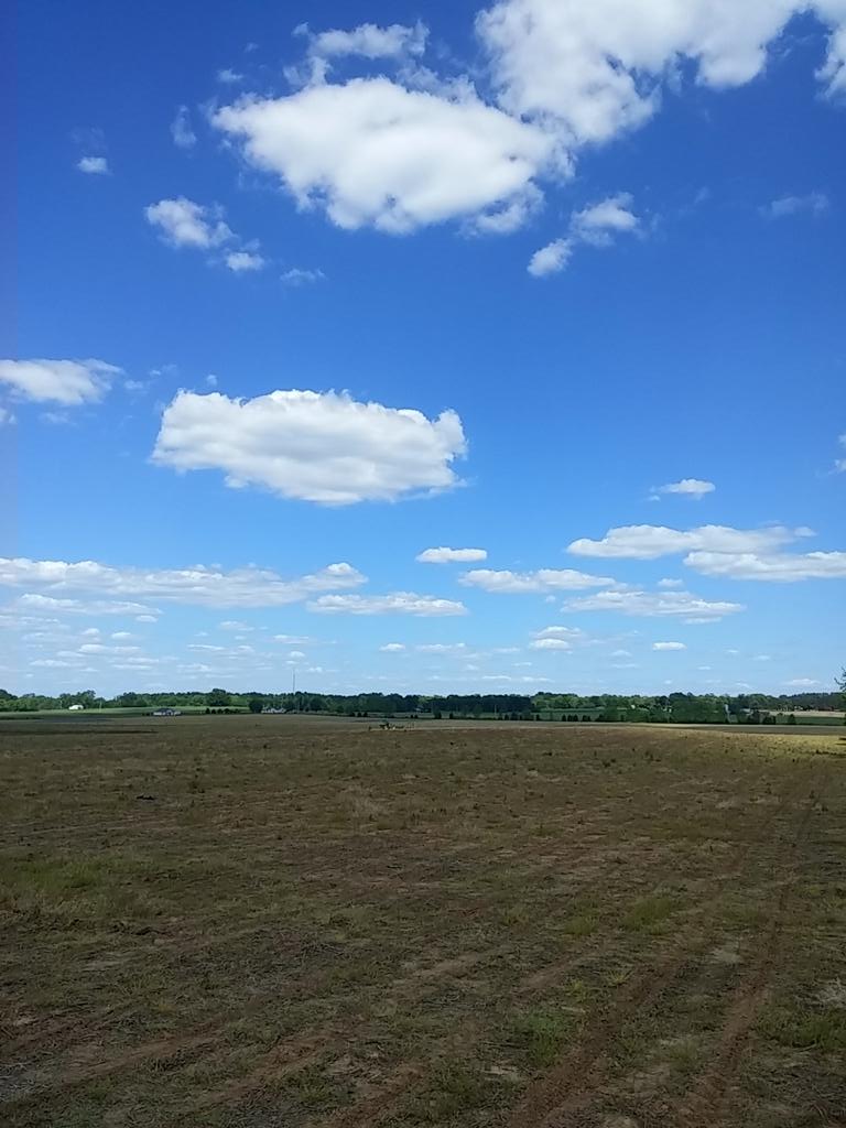 BamaFarmer1990's tweet photo. It's definitely turned out to be a pretty day for corn Planting. #Dekalb #VT3PRO http://t.co/MYAJERTiZ9