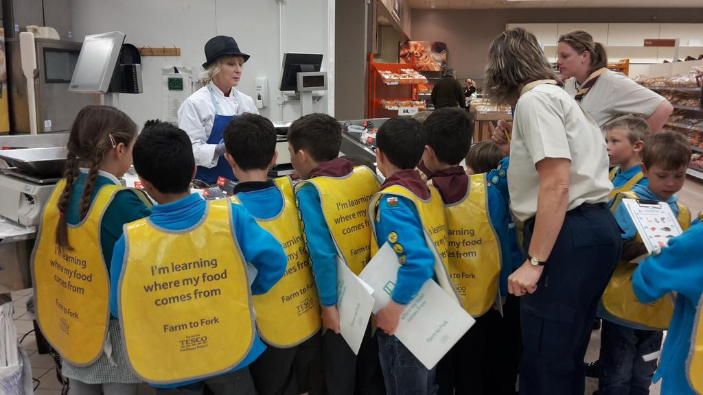 bevans_sharon's tweet photo. Very curious Lamphey beavers   @Pembroke3017 @TheVlady @headcaseymike @EatHappyProject http://t.co/gTKXmq1ZjB