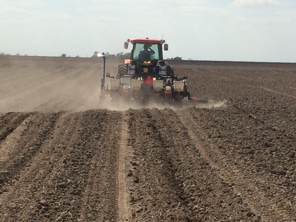 David Wolfe tweet media