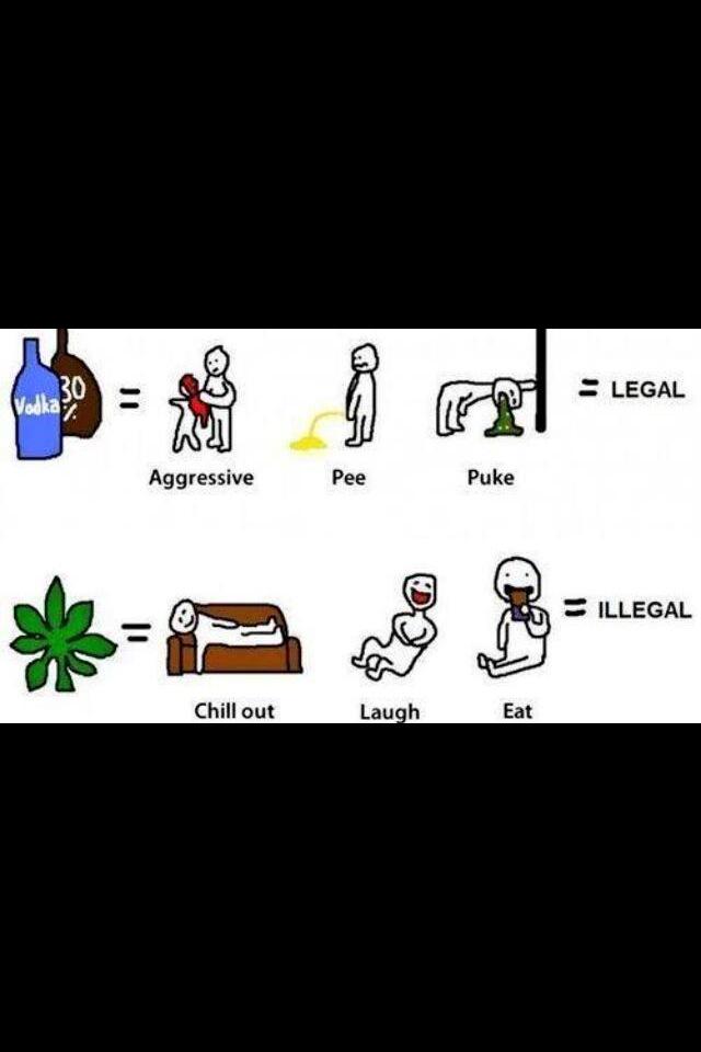 STONERS__CLOSET's tweet photo. Makes perfect sense why weed's illegal though and alcohol isn't.. I'm kidding..It makes no fucking sense. http://t.co/kUf9hLJ5Ke