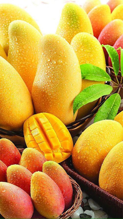 Planetamedico1's tweet image. #SabíasQue el Mango ayuda a la salud de la piel por su alto contenido de vitamina A. #PlaneTips #Saludable