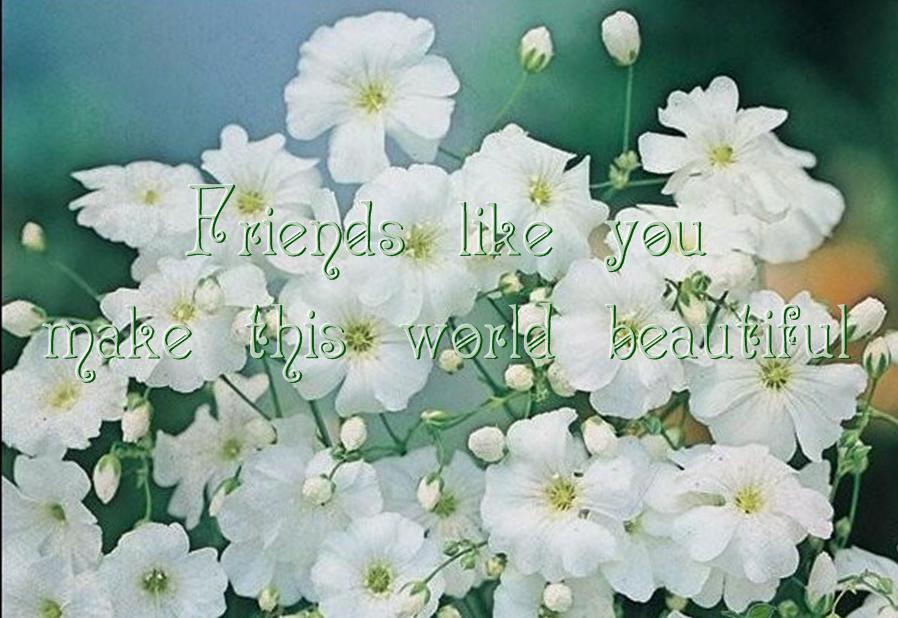Lily23Love1's tweet photo. ❤️Ŧøໄໄø௰ ʍψ ŦƦιεnδš⇢@OmairaLi97 @16Basara @Muchievas @Eduardo91221843 @Hazel_Sibanda @fiaz_268 http://t.co/1b4qPI3n5d