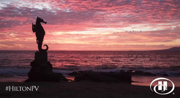 HiltonVallarta's tweet photo. Breathtaking sunsets await you at Puerto Vallarta...

#HiltonPV #PuertoVallarta http://t.co/J7UsklhkQE