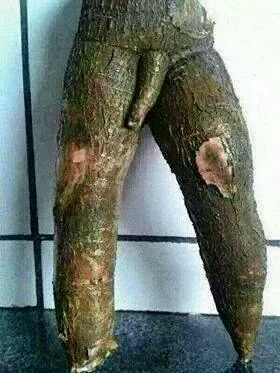 AddoEnoque's tweet image. 