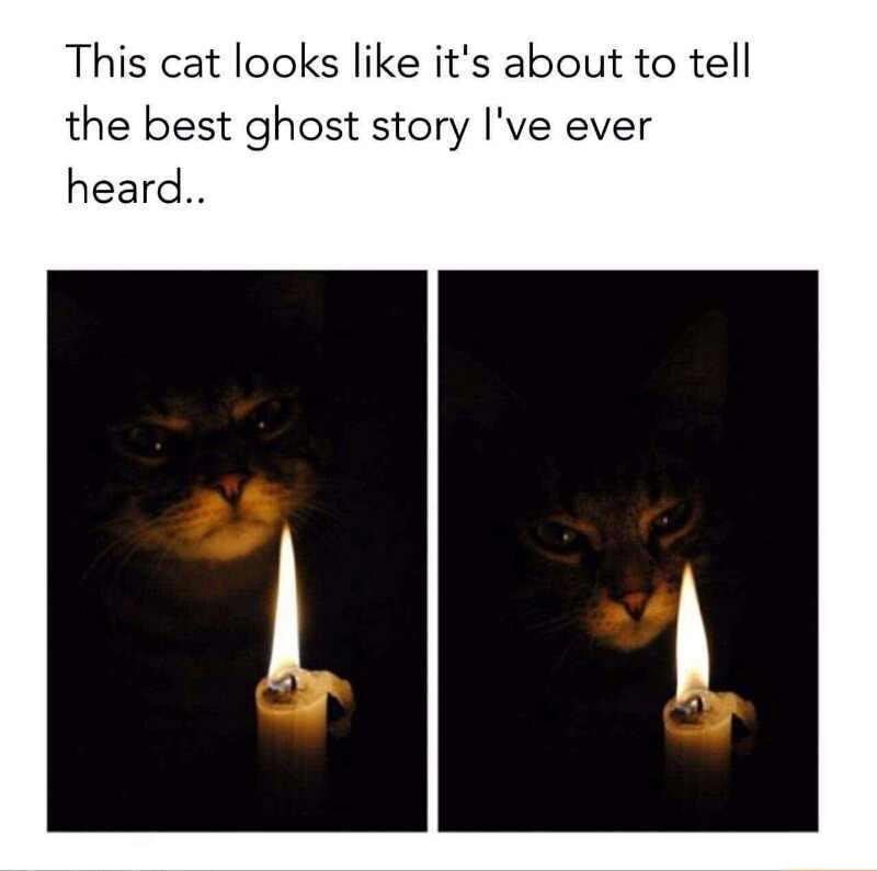 Its Psycho Lord tweet media