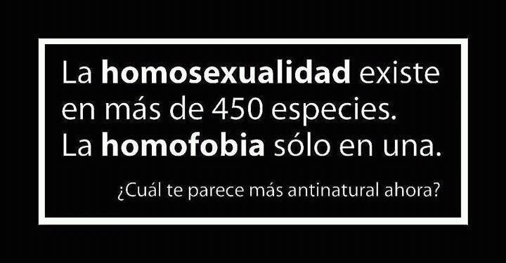 _AlbertoSuarez's tweet photo. La homosexualidad existe en 450 especies, la homofobia solo en una.

 #MiSangreEsLaMismaQueLaVuestra http://t.co/NwKYbA1Y5A
