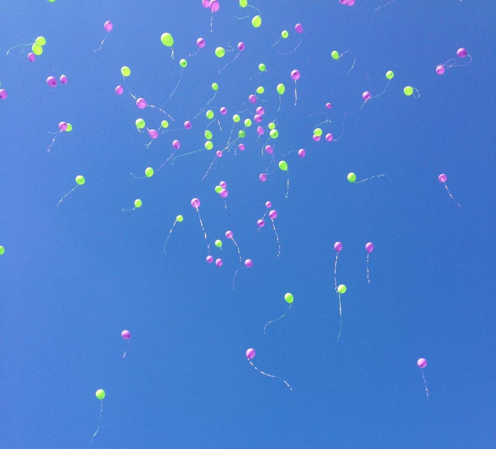 dabness's tweet photo. #RIPHannahWilson http://t.co/VjsSQ7G0kF