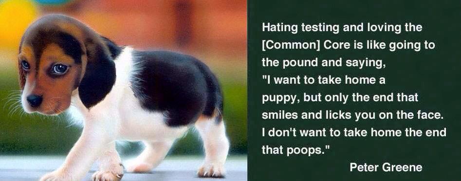 StevenSinger3's tweet photo. Hating testing &amp; loving #CommonCore is like refuse to buy the part of the puppy that poops.
@BadassTeachersA @palan57 http://t.co/RDKYKTSlmy