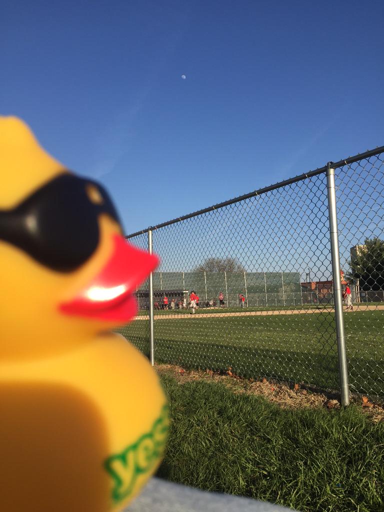 JayNWells's tweet photo. After a hard day at work, winding down with a little baseball. #YESSDuckDerby #AdoptADuck http://t.co/5DWbSNO3cT