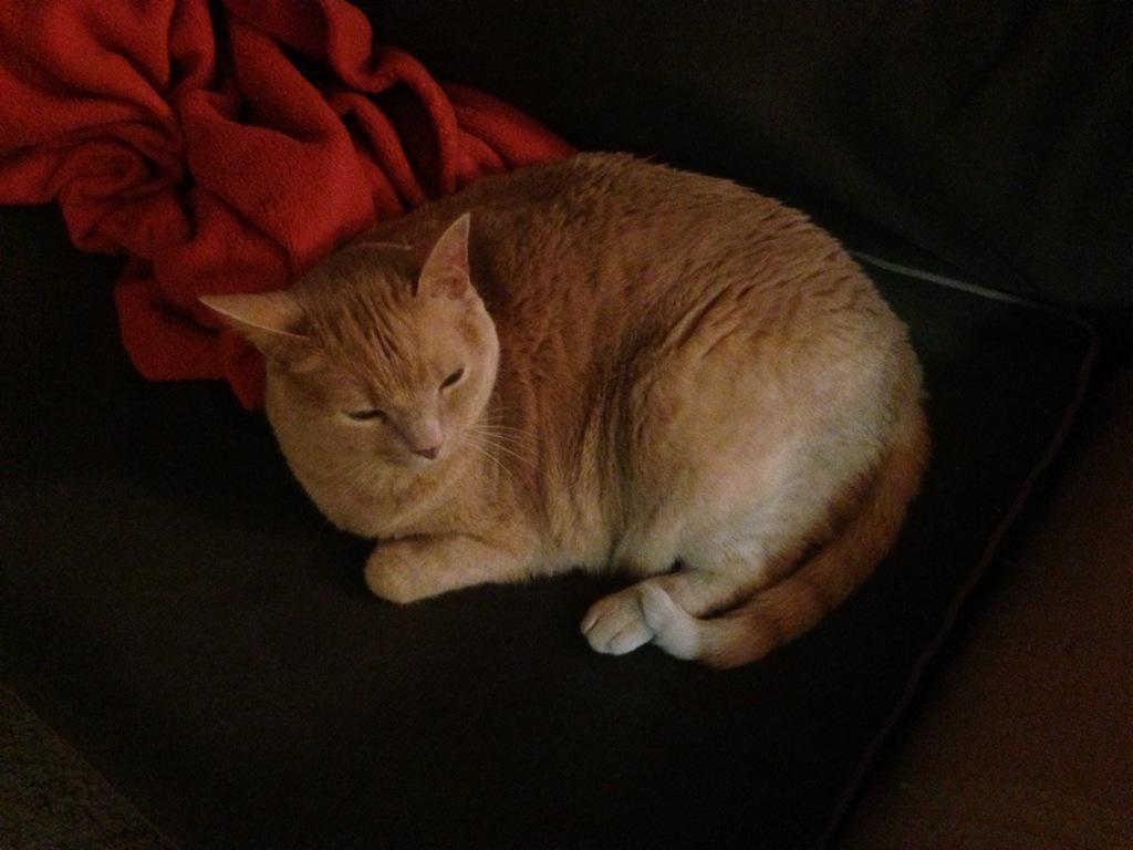 Embedded image permalink