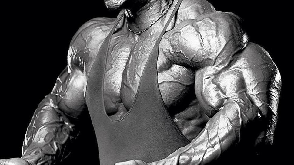 FLEX_Magazine's tweet photo. 25 of our all-time best training tips for maximizing mass: http://t.co/iulwoGqOzu http://t.co/2WfkeueHoZ