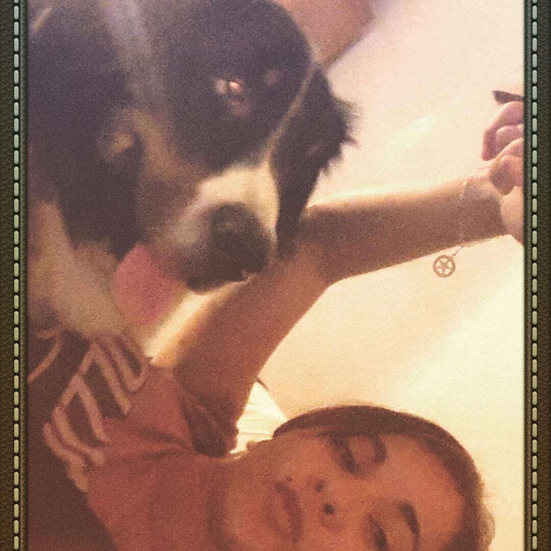 gisepautasio's tweet image. #AmorAnimal te adoro chan