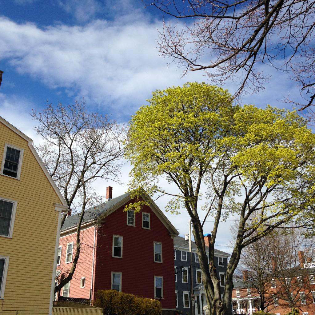 BrightEarthMA's tweet image. It was a lovely #spring afternoon here in #Salem, MA! #salemma #springtime