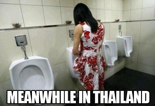 Thai ladyboy meme