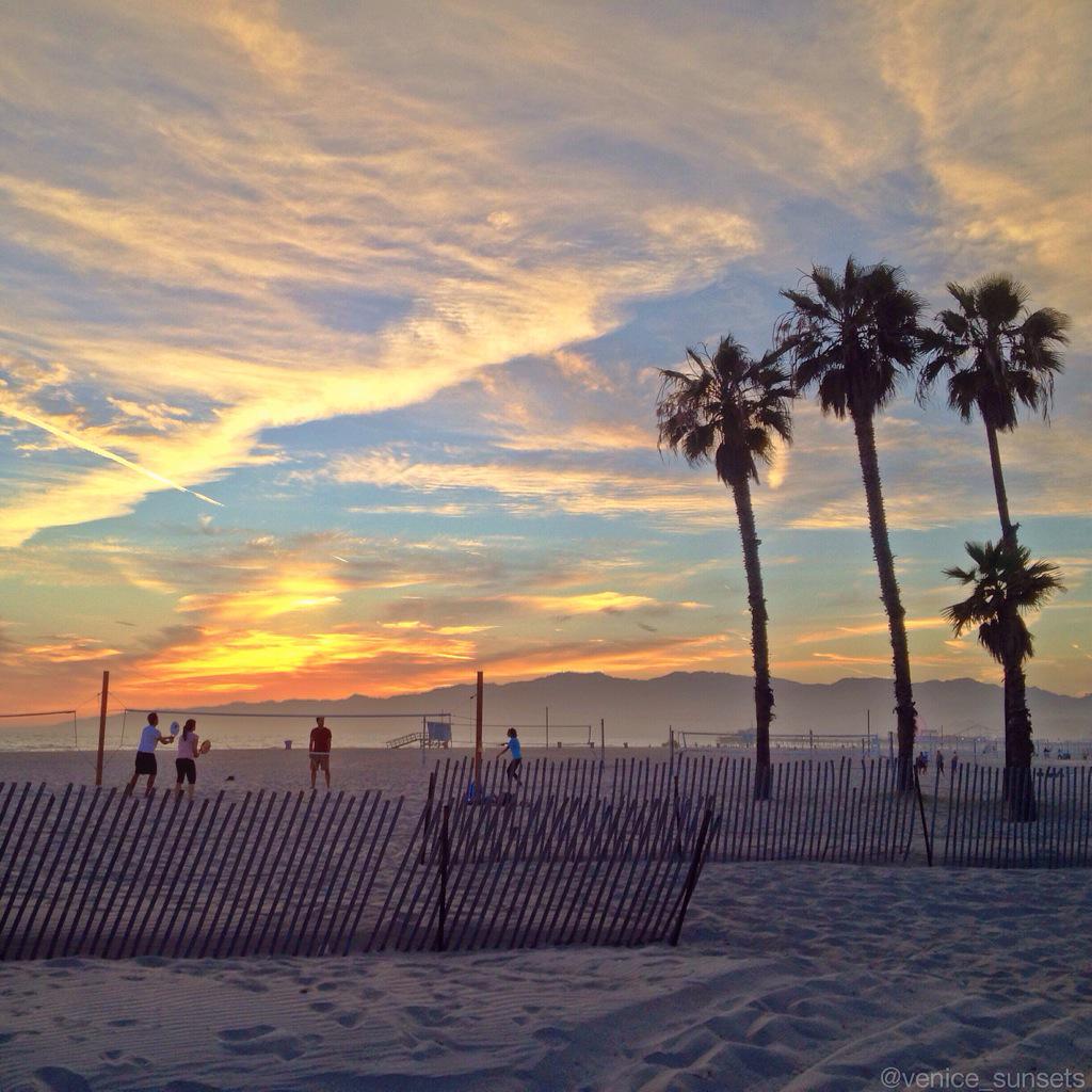 Venice_Sunsets's tweet photo. A delightful, warm evening down on the sand. #humpday #venice_sunsets 🌅🌊🌴🌴 http://t.co/MgYTyFq7O0